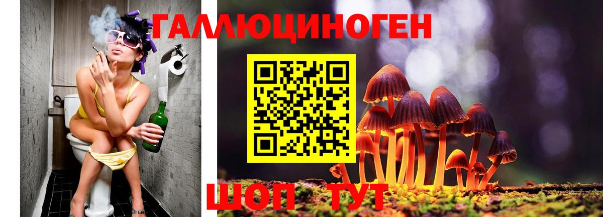 Галлюциногенные грибы MAGIC MUSHROOMS  Вход с VPN  Соль-Илецк  Галлюциногенные грибы MAGIC MUSHROOMS 